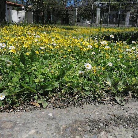 Nikos Apartments 1 Kávos Екстериор снимка