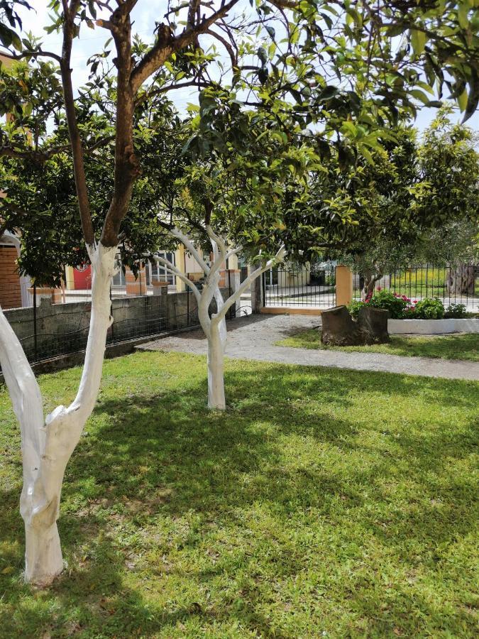 Nikos Apartments 1 Kávos Екстериор снимка